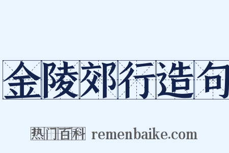 金陵郊行造句是什么意思的图片